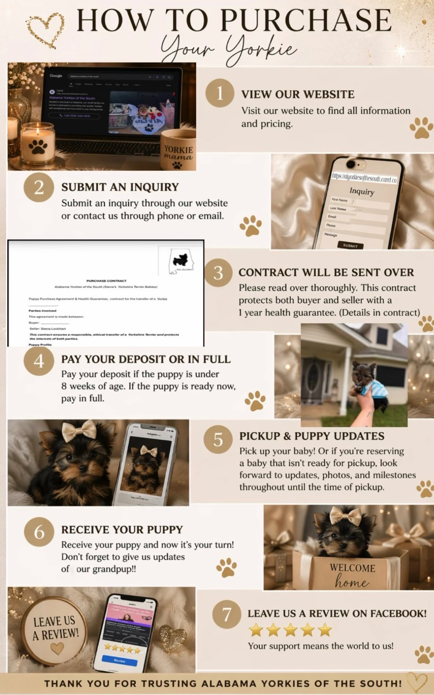 Sierra’s Yorkshire Terrier Babies